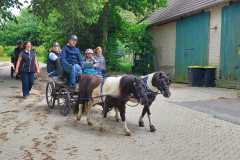 IMG-20250529-WA0035