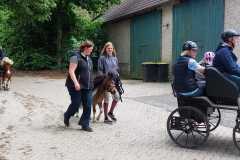 IMG-20250529-WA0036