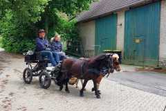 IMG-20250529-WA0037
