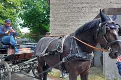 IMG-20250529-WA0039