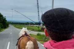IMG-20250529-WA0041