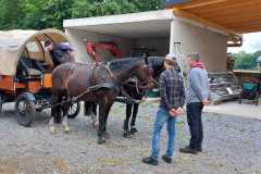 IMG-20250529-WA0042