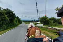 IMG-20250529-WA0043