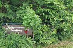 IMG-20250529-WA0044