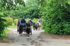 IMG-20250529-WA0047