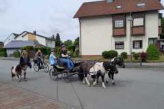 IMG-20250529-WA0048