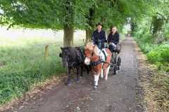 IMG-20250529-WA0050