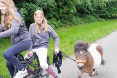 IMG-20250529-WA0051