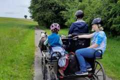 IMG-20250529-WA0054