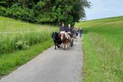IMG-20250529-WA0055