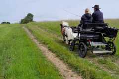 IMG-20250529-WA0057