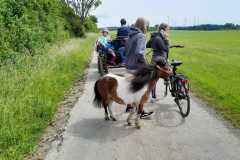 IMG-20250529-WA0059