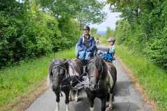 IMG-20250529-WA0060
