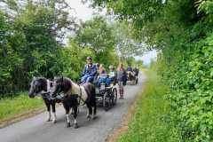 IMG-20250529-WA0062