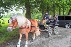 IMG-20250529-WA0063