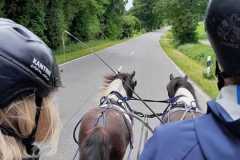 IMG-20250529-WA0065