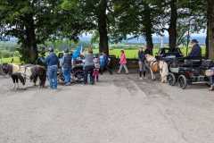 IMG-20250529-WA0074