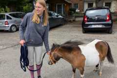 IMG-20250529-WA0075