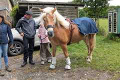 IMG-20250529-WA0076
