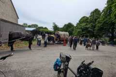 IMG-20250529-WA0077