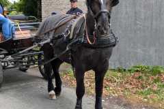 IMG-20250529-WA0078