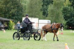 DSC05306