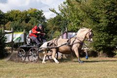 Turnier25-046