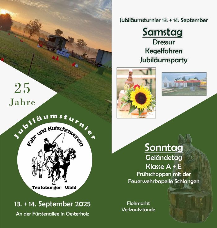 Flyer1